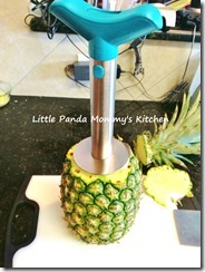 pineapple slicer 1