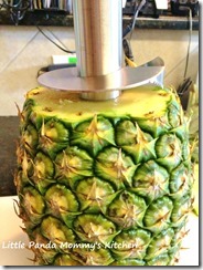pineapple slicer 2